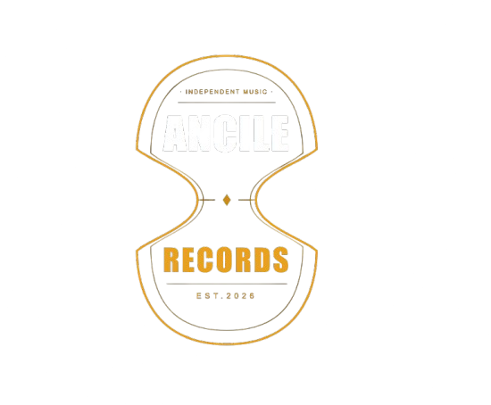 ancile schild logo removebg preview